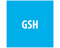 GSH